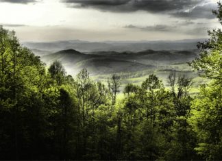 Muddy Creek Mountain