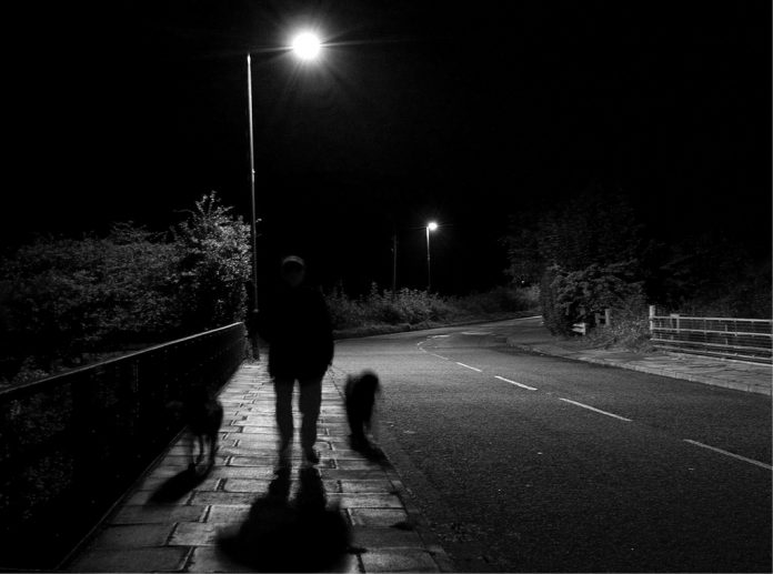 Dog-Walking Ghost