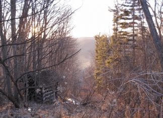 Haunted Mountain Top