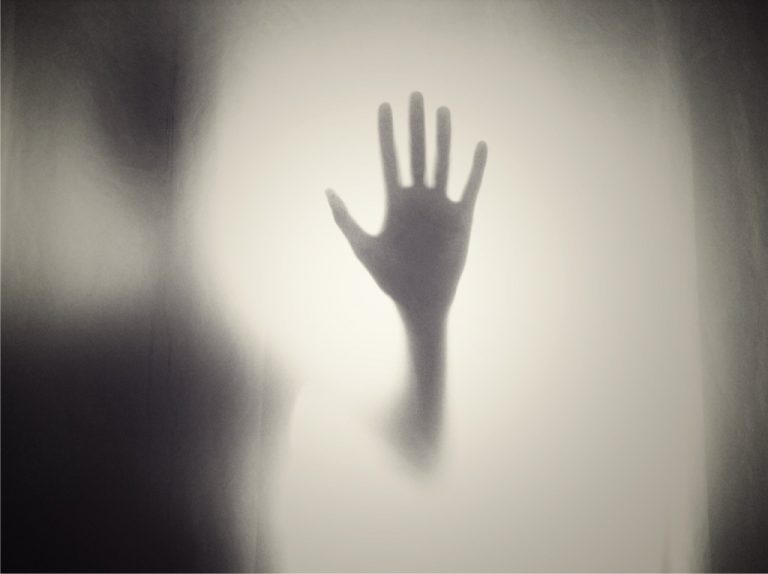 paranormal agency ghosts of wayne