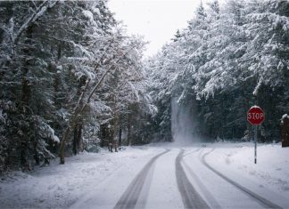 Winter Ice Face