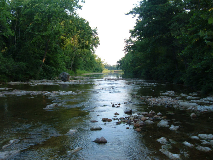 The Creek Beds