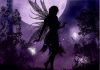 Fairy Follies Fairy Follies