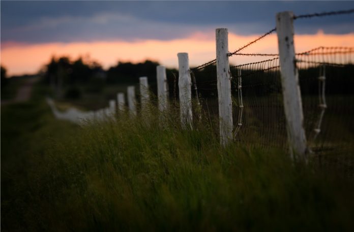 Fence Row Stand-Up Man