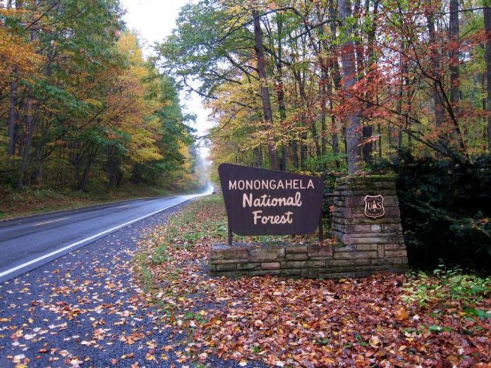 Monongahela National Forest