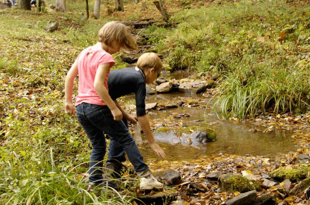 Weird Footprint Found In Creek Bed Near Milton, Wv - West Virginia Ghosts