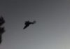 Was Mothman Spotted in Pt. Pleasant Recently? Mothman?