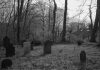 Area near Blue Jay reportedly haunted Area near Blue Jay reportedly haunted