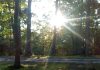 Spruce Creek Ghost Spruce Creek Ghost