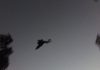 Flying Creeper
