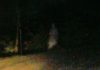 Ghost Solider Ghost Solider